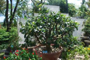 Feb 25 (194).JPG